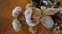DSC01946.JPG