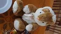 DSC01948.JPG
